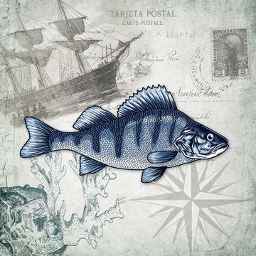 原創(chuàng)海洋裝飾 魚