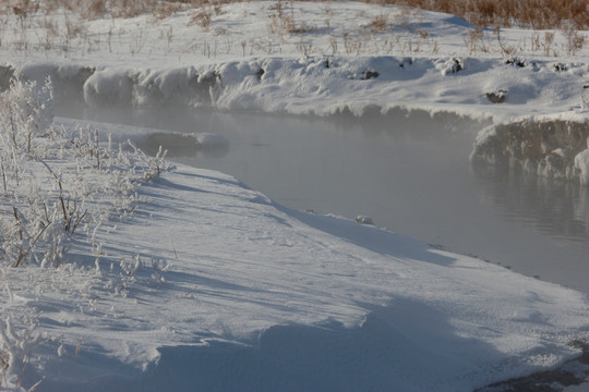 北国风光 冰天雪地 玉树琼枝