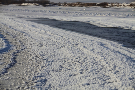 北国风光 冰天雪地 玉树琼枝