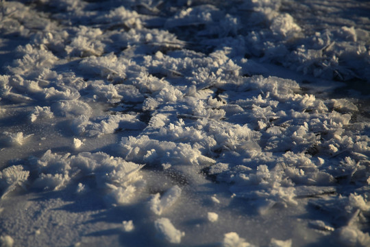 北国风光 冰天雪地 玉树琼枝