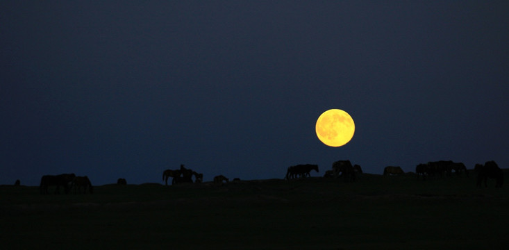 草原夜色月亮