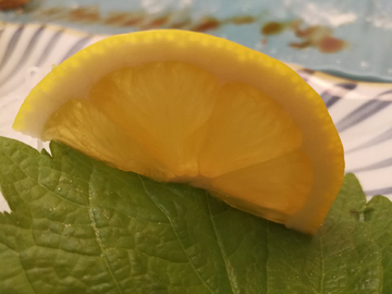 柠檬 黄柠檬 柠檬片 摆盘