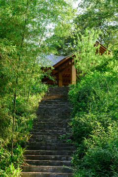 登山道