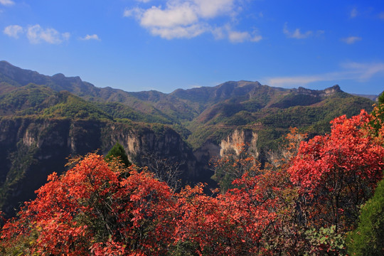 太行山大峡谷