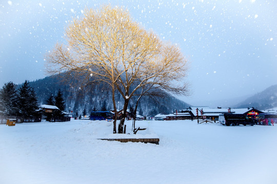 雪景