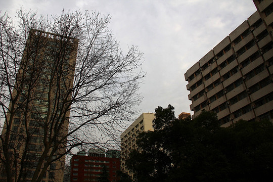 南京大学 校园风景