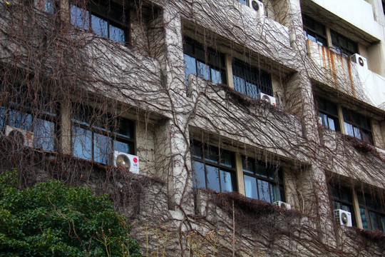 南京大学 校园风景