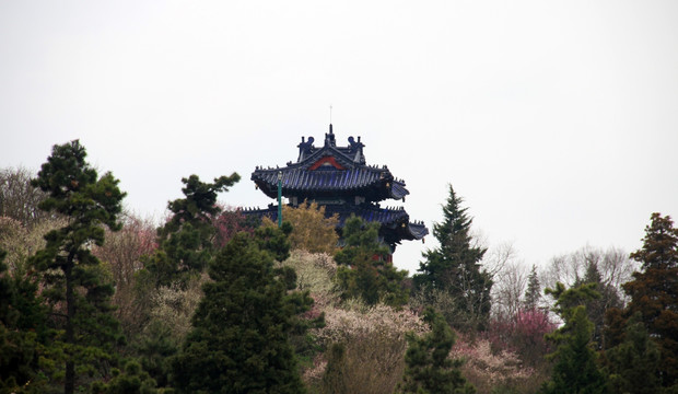 南京 钟山风景区 明孝陵景区