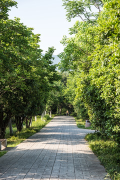 景区道路