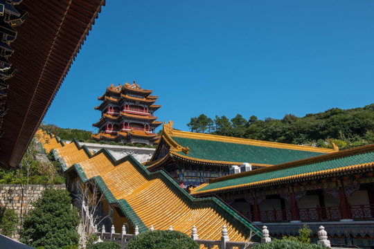 普陀山宝陀讲寺