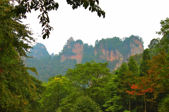 灵秀张家界 奇山 异石 美景