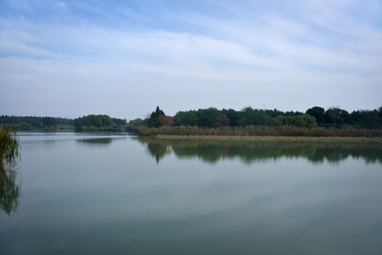 太湖湿地