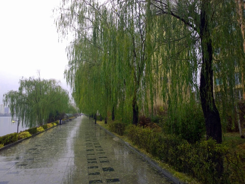 冬雨后的石板路