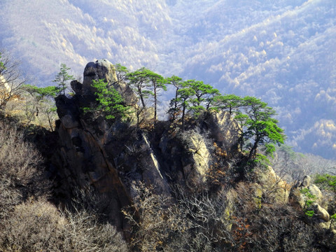 尖峰绿松