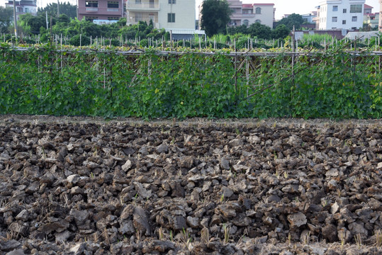 农田农地