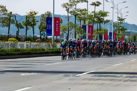 国际公路自行车