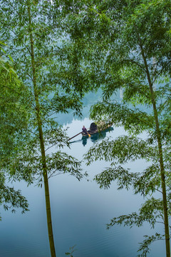 风景 竹林