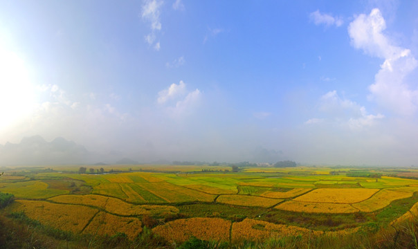 田园风景画