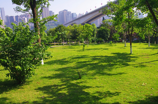 城市绿地 城市绿化 城市环境