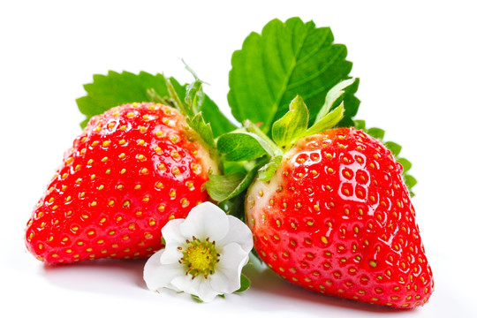 奶油草莓白底高清