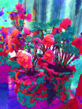 牡丹花 水彩花卉 花卉裝飾畫