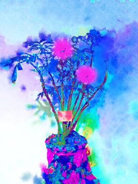 牡丹花 水彩花卉 花卉裝飾畫