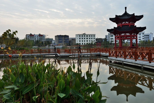 湖心亭 亭子 公园 湿地公园