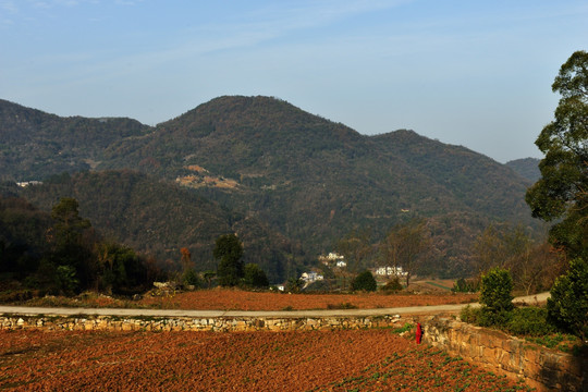 大山 秋天 山野 农村 乡村