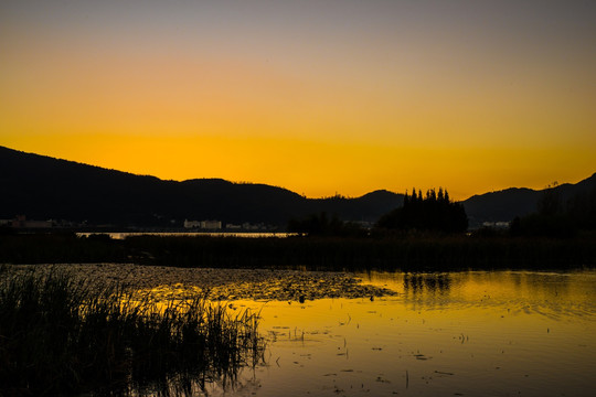 夕阳滇池湿地