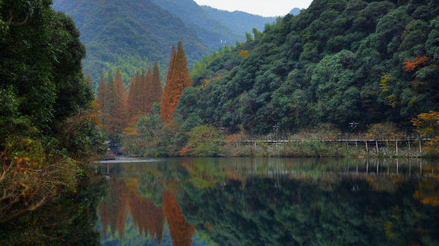 宁海森林温泉