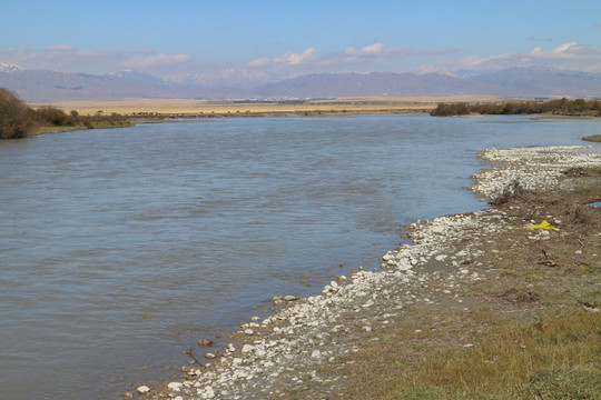 河水河岸