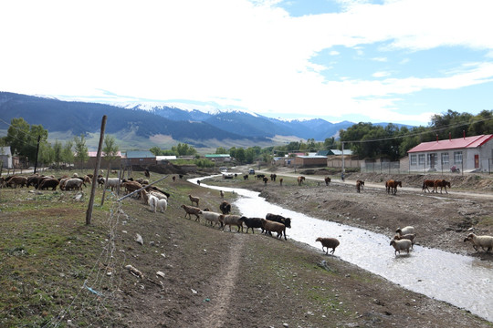 山村小河