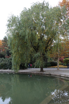 杨浦公园