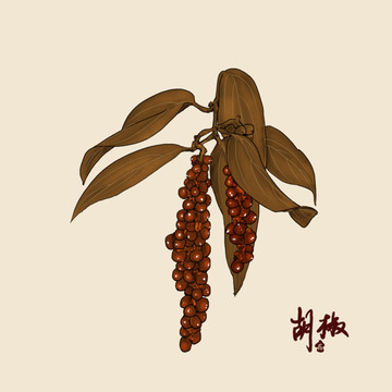 胡椒手繪