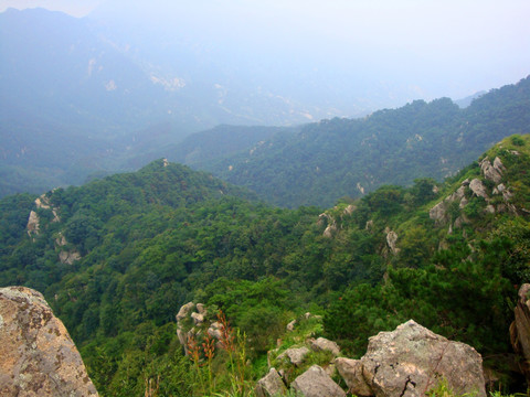 青山 大山