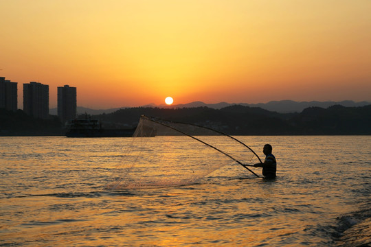 夕阳红