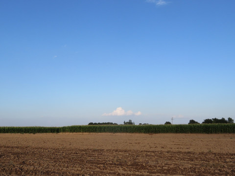 山野