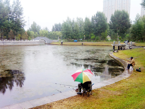 园林 花草 树木 游人 美景