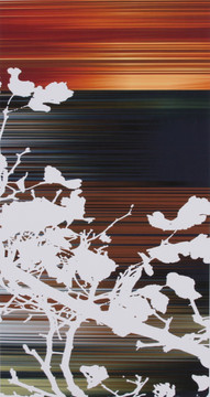 樹(shù)影