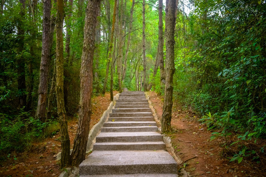 山林小路