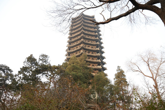 北京大学