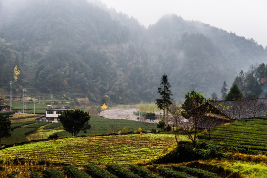 烟雨蒙蒙土家山村