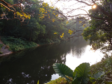 湖畔夕阳风景