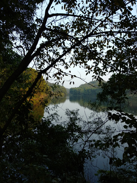 湖畔美景