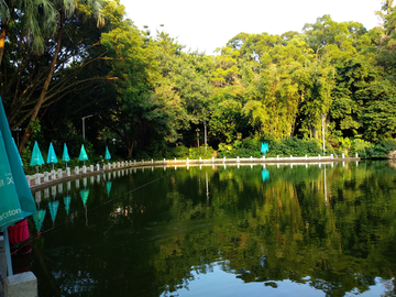 公园湖畔风景