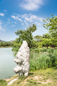 珍珠泉风景区银瀑观鱼