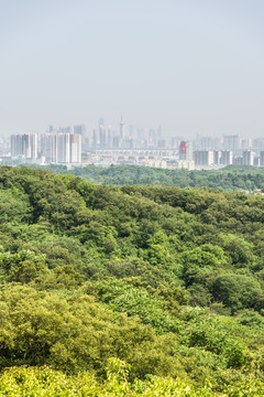 景区山景