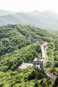 景区山林