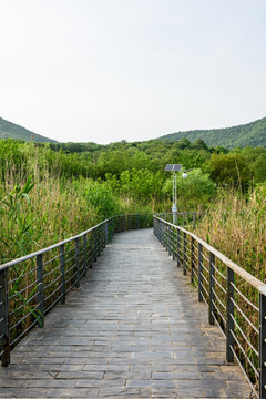 珍珠泉风景区景观