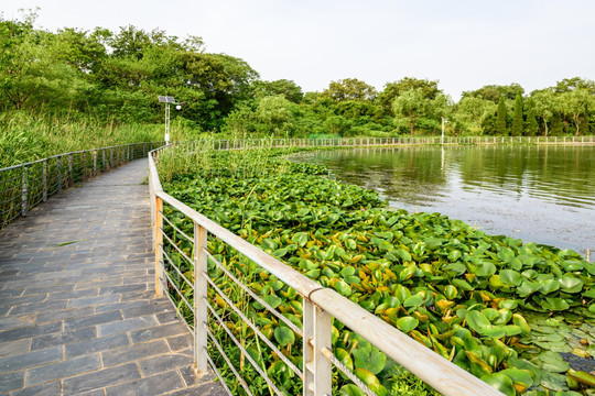 珍珠泉风景区水景